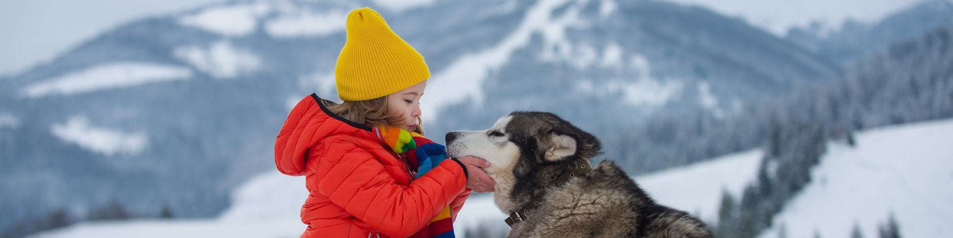 Snowy Adventures: Safe and Fun Outdoor Activities for Kids and Pets