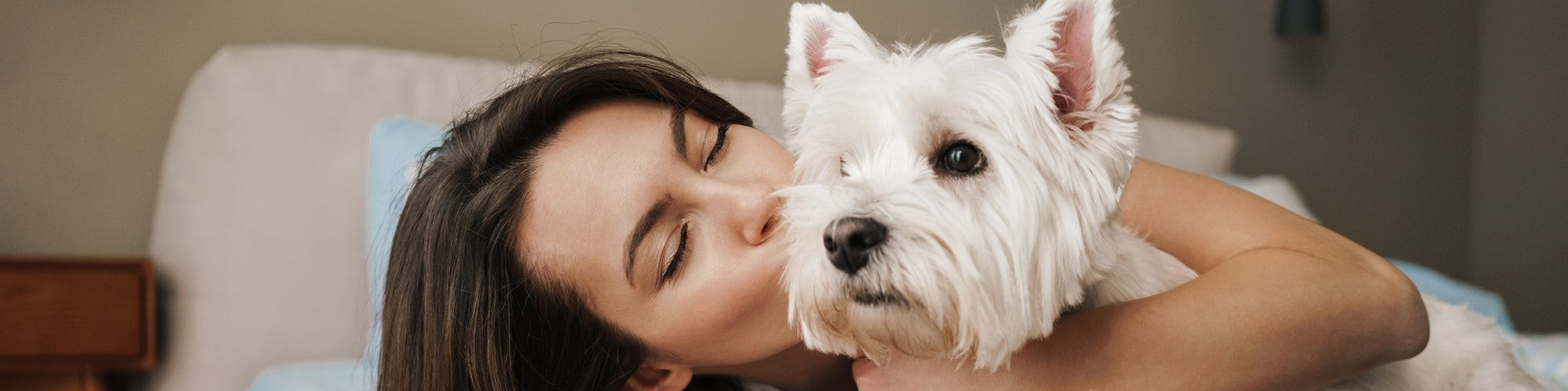 The Healing Power of Pets: How Animals Improve Our Mental Health