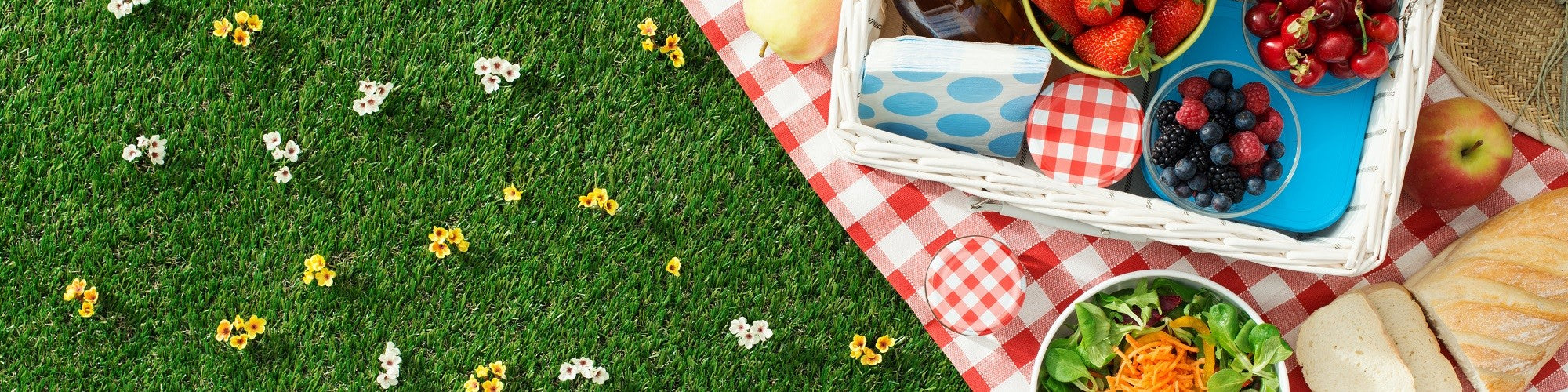 The Art of Picnicking: Planning the Perfect Spring Picnic