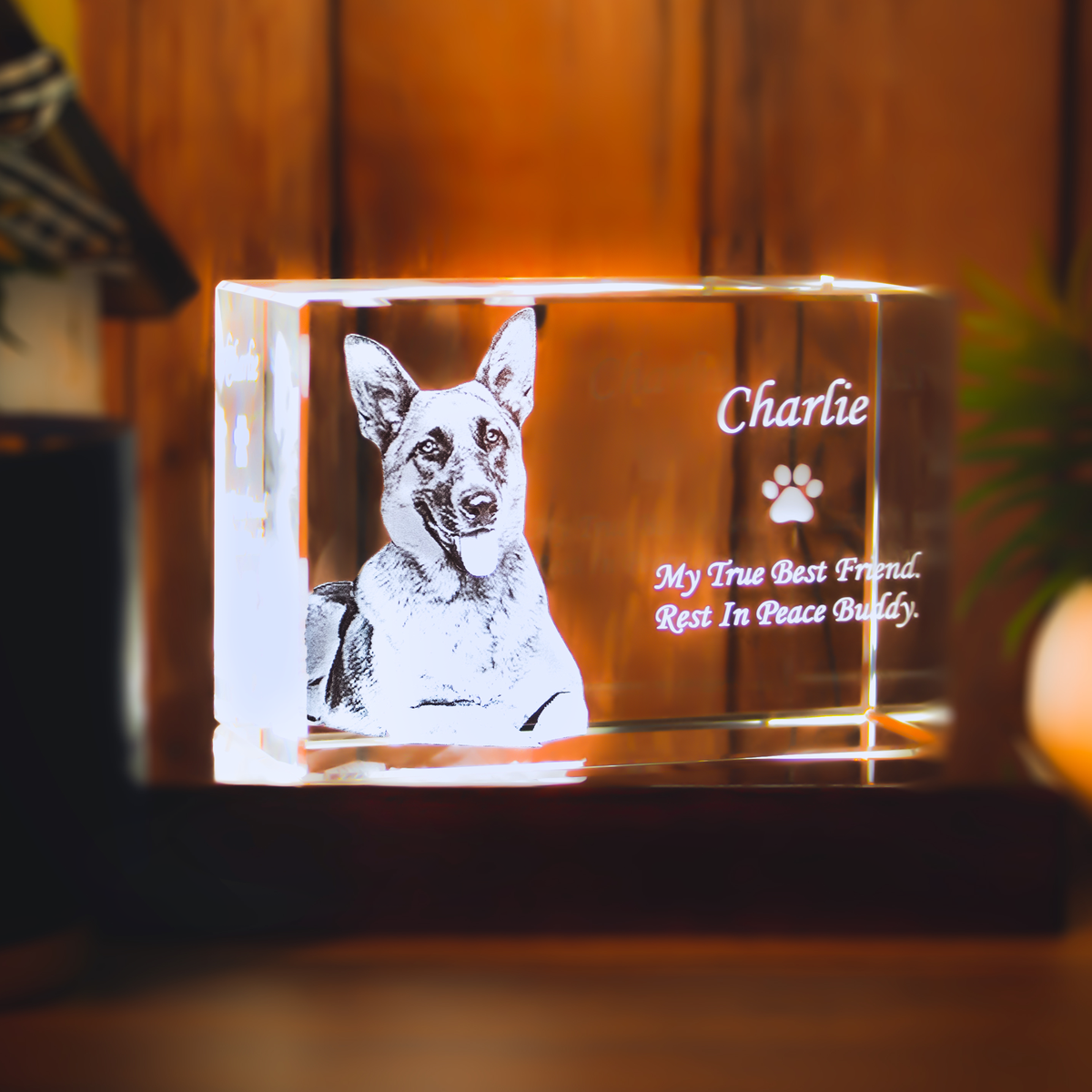 3D Crystal Rectangle For Pet Lovers